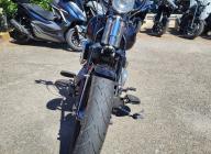 HARLEY-DAVIDSON SOFTAIL SPRINGER CROSS BONES FLSTSB