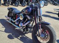 HARLEY-DAVIDSON SOFTAIL SPRINGER CROSS BONES FLSTSB