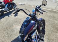 HARLEY-DAVIDSON SOFTAIL SPRINGER CROSS BONES FLSTSB